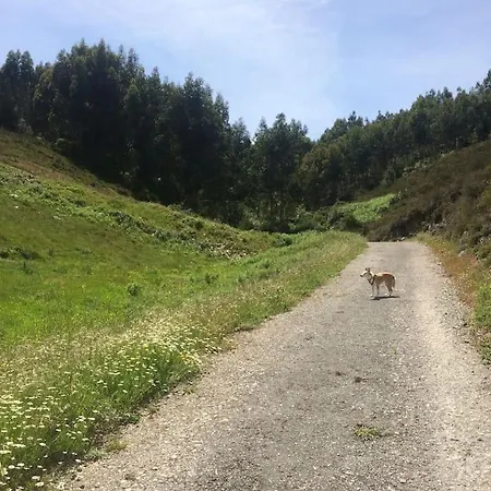 Casa Dos Veados Casa vacanze Ladeiras (Coimbra)