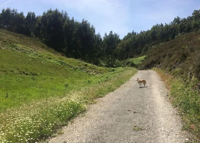 Casa Dos Veados Nyaraló Ladeiras (Coimbra)